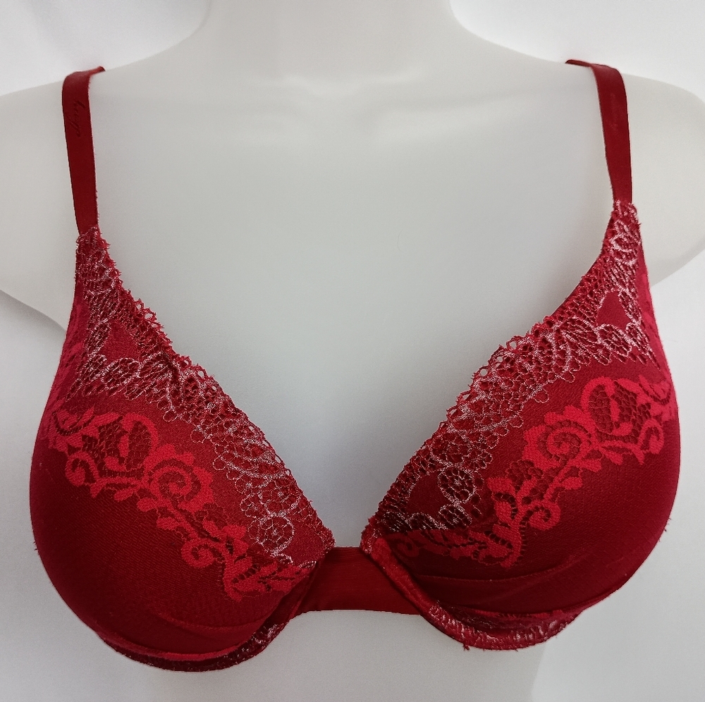 DKNY Barbiecore Feminine Full Coverage Sexy 34D Elegant Red Lace Bra-(#699)